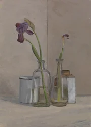 Schwertlilien Weiße Dosen